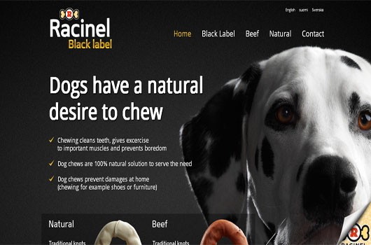 30 Beautiful Black and White Website Designs