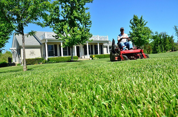 How to Properly Care for Your Lawn: Advice from an Expert
