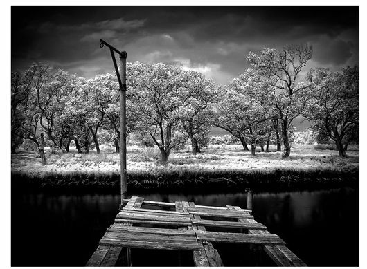 35 Captivating Examples of Infrared Photography