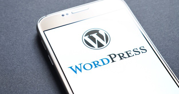 5 Best WordPress Themes for Your Websites