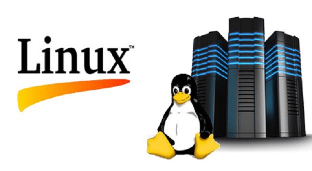 Why Choose Linux for Your Server(s)?