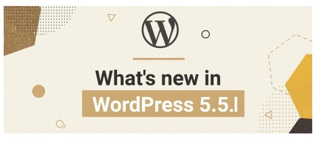 Is Maintenance Release of WordPress 5.5.1 Augmenting WordPress 5.5?