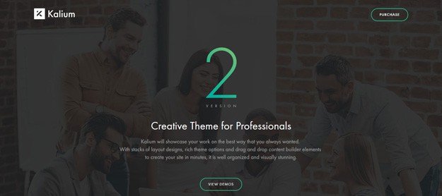 Best WordPress Portfolio Themes for 2017