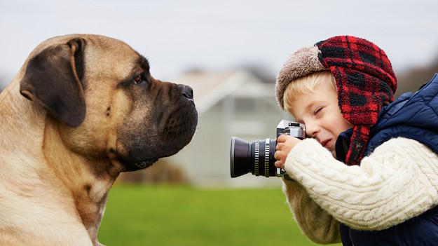 How to Take a Perfect Picture of an Animal – Few Tips
