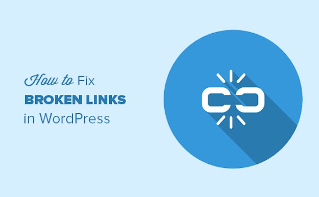 How to Detect and Fix Broken Links in a WordPress Site